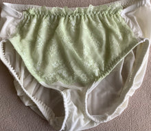 Load image into Gallery viewer, PANTIE PROJECT INFORMATION PDF